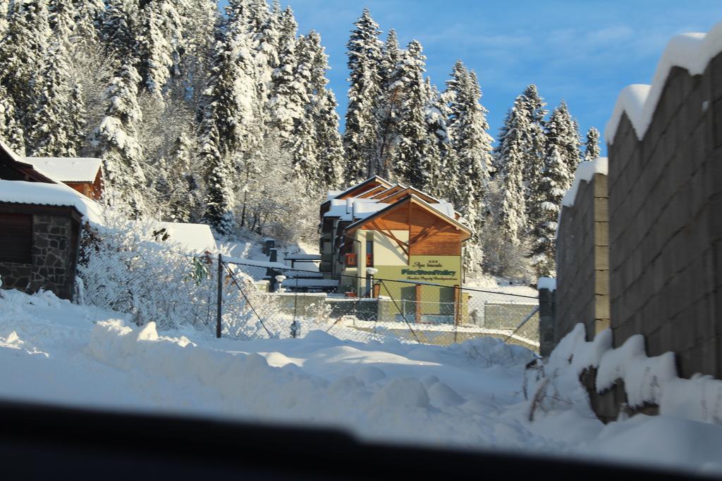 Pine Wood Apartment Vyšné Ružbachy 외부 사진