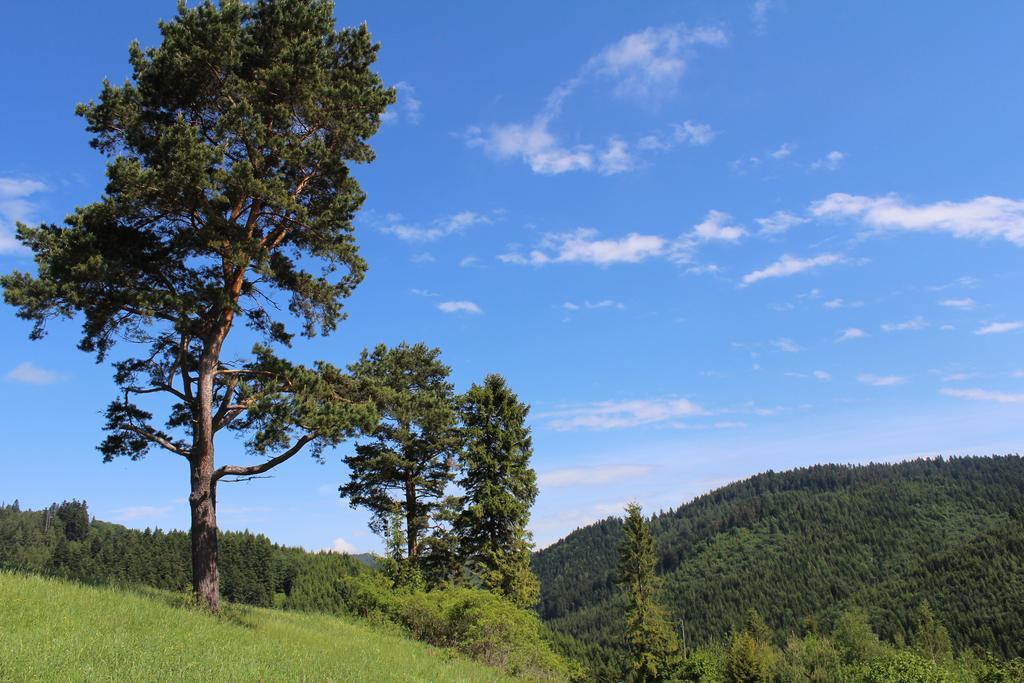 Pine Wood Apartment Vyšné Ružbachy 외부 사진